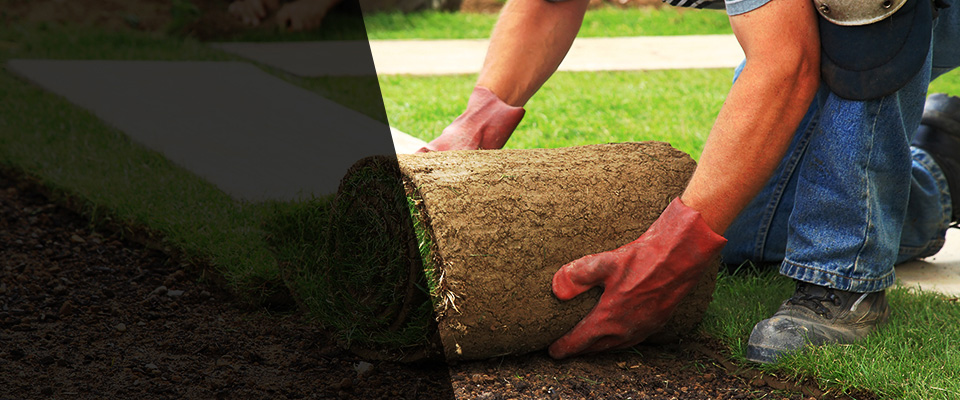 Colbert Landscapers